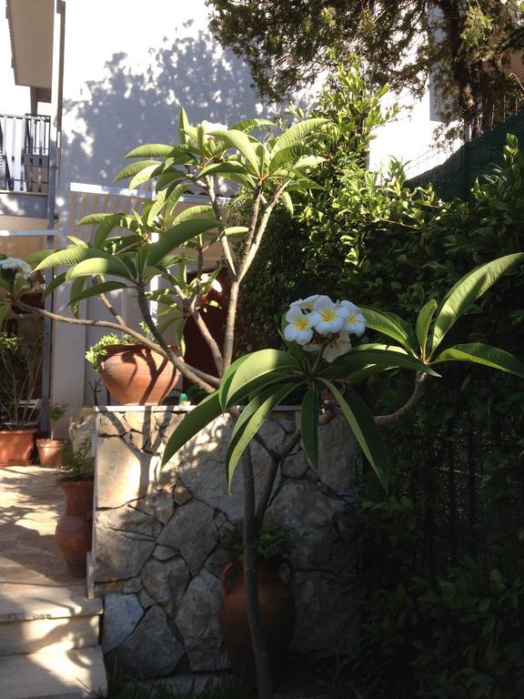 Il Giardino Dei Limoni Bed and Breakfast Aci Castello Buitenkant foto