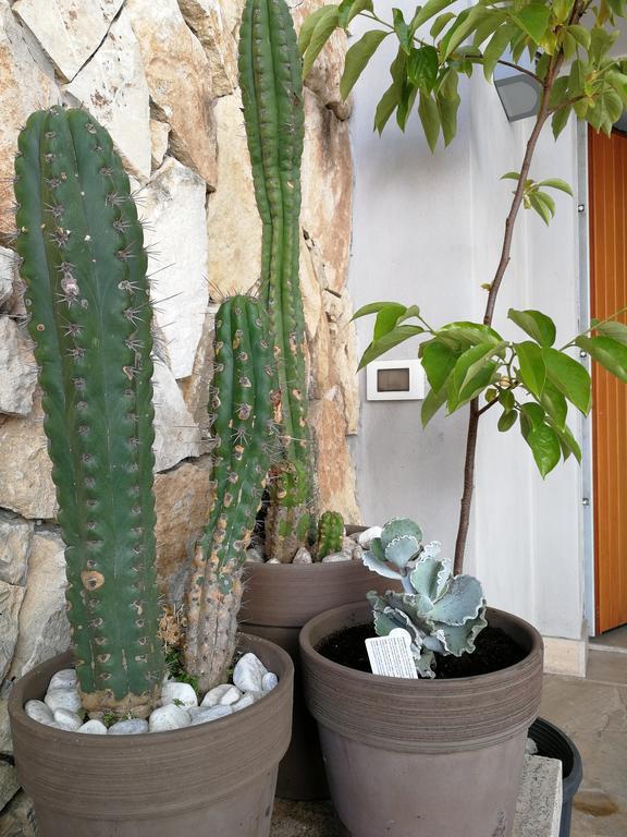 Il Giardino Dei Limoni Bed and Breakfast Aci Castello Buitenkant foto